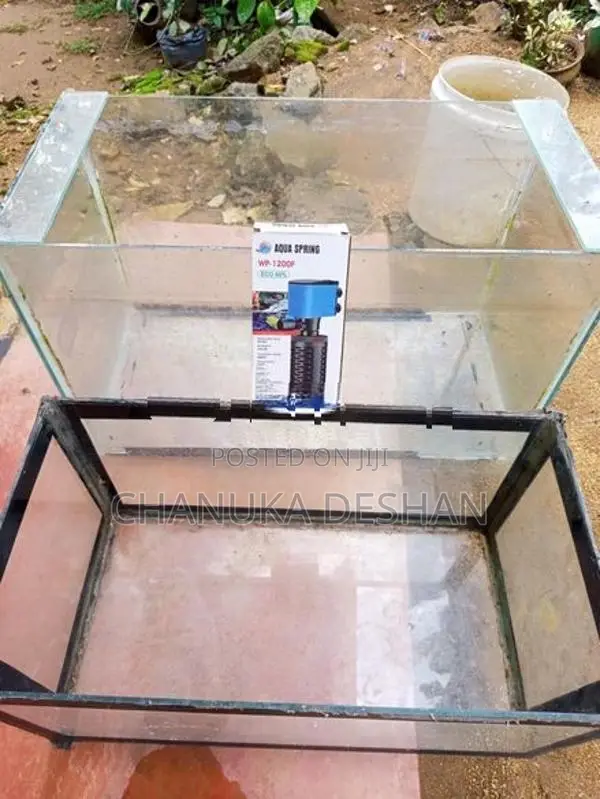 Fish Tank