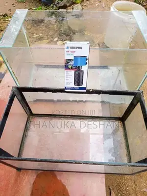 Fish Tank