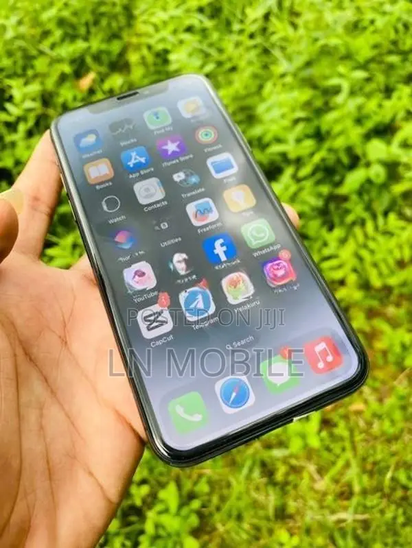 Apple iPhone X (Used)
