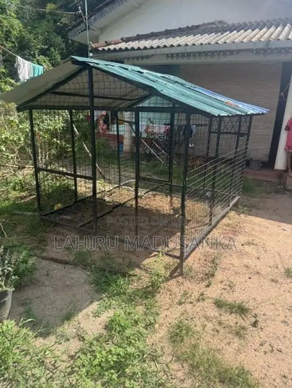 Dog Cages