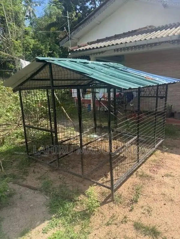 Dog Cages