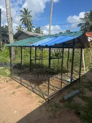 Dog Cages