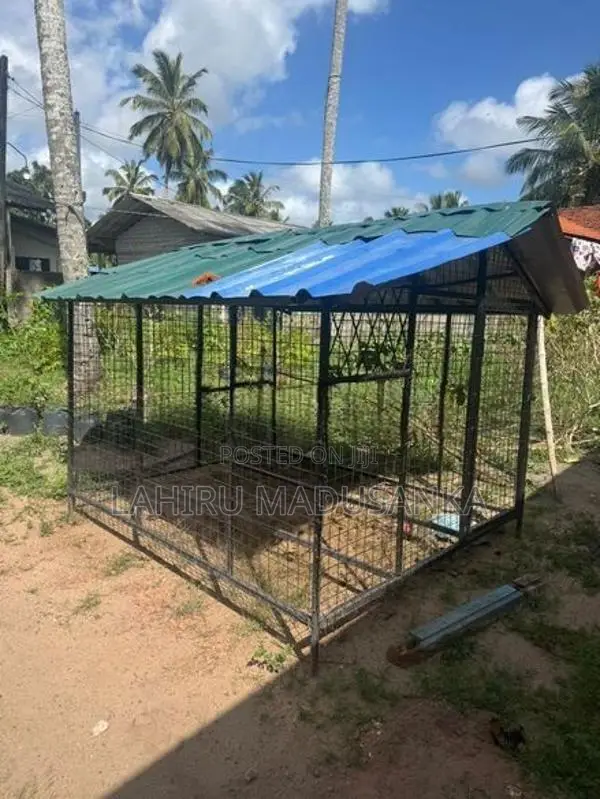 Dog Cages