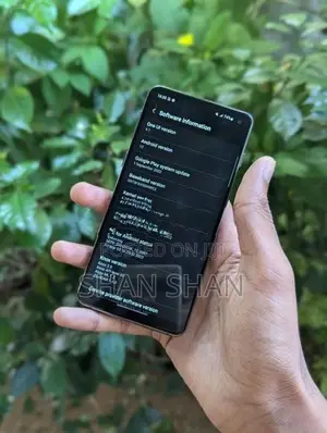 Samsung Galaxy S10 8GB 128GB (Used)