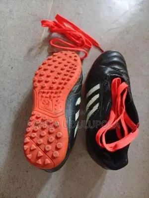 Pisdo Sport Shoes