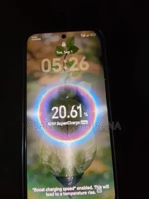 Honor 400 5G12/256GB (Used)