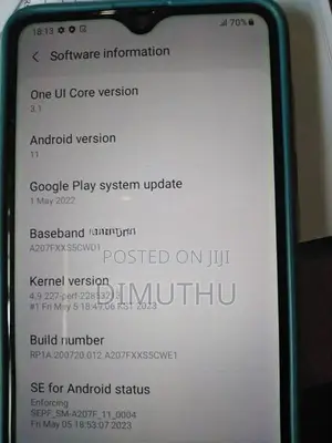 Samsung Galaxy A20s (Used)