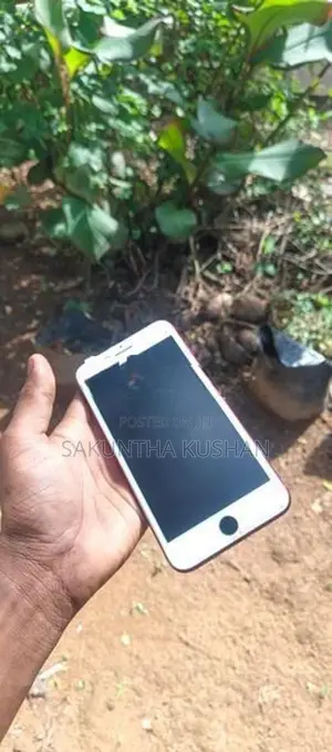 Apple iPhone 7 Plus (Used)