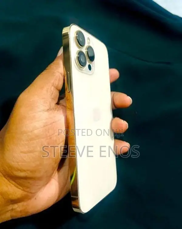 Apple iPhone 13 Pro Max Gold Edition (Used)