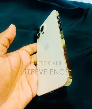 Apple iPhone 13 Pro Max Gold Edition (Used)