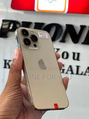 Apple iPhone 13 Pro (Used)
