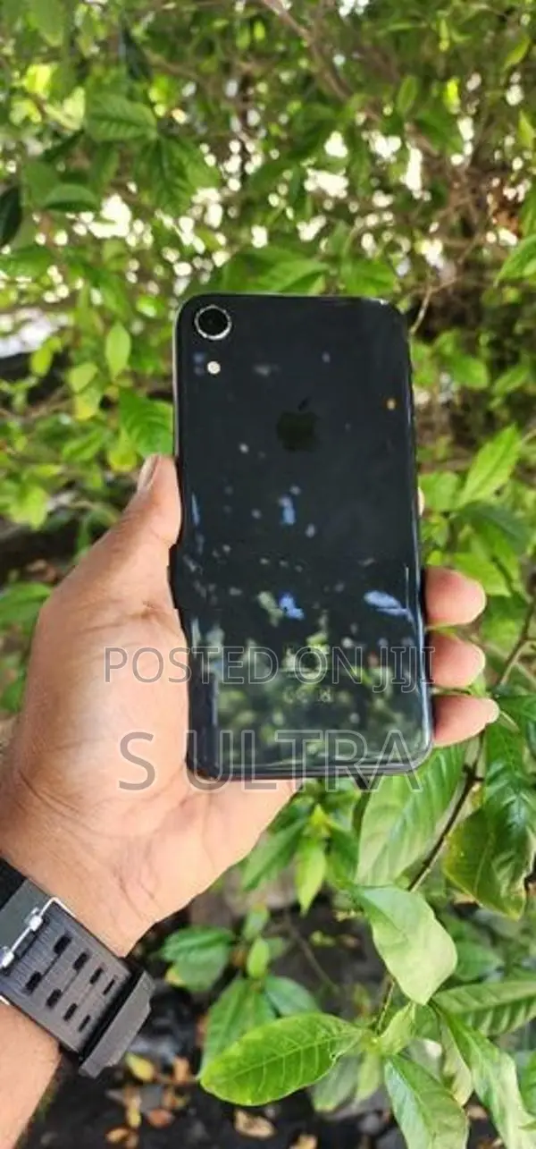 Apple iPhone XR (Used)