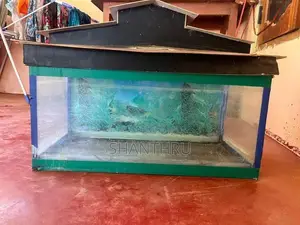 2 Feet Glass Fish Tank With Custom House Top Cover