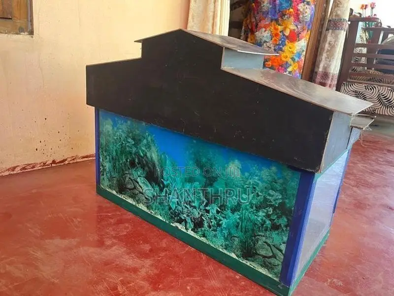 2 Feet Glass Fish Tank With Custom House Top Cover