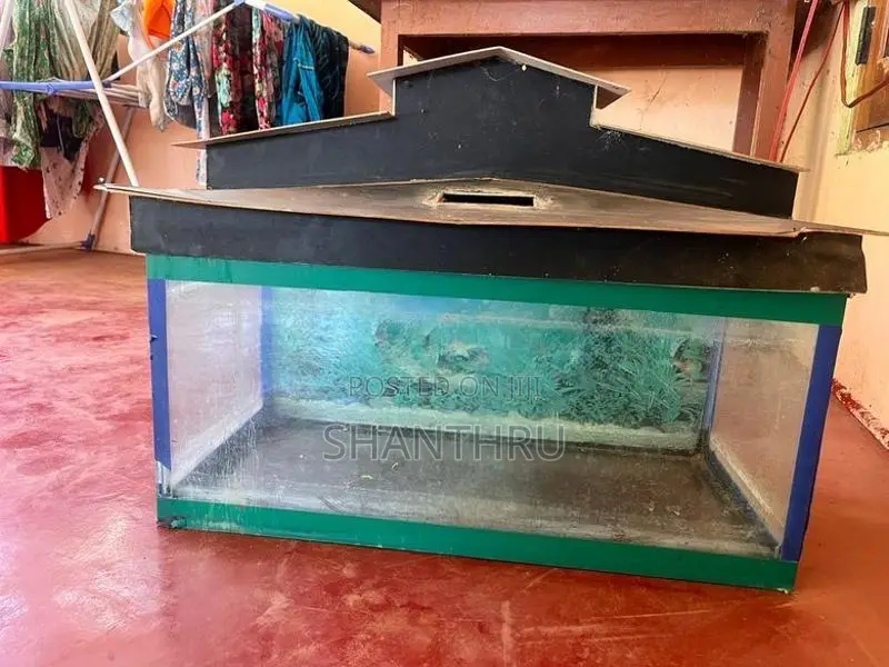 2 Feet Glass Fish Tank With Custom House Top Cover