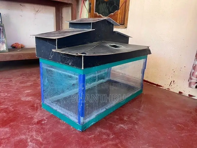 2 Feet Glass Fish Tank With Custom House Top Cover