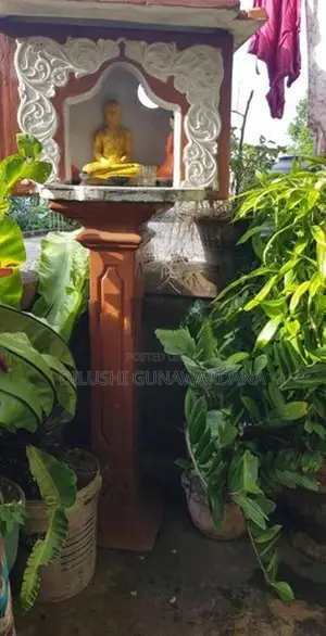 Out Door Buddha Alter