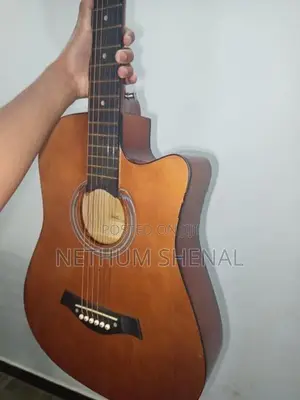 Trinity Acoustic Guitar- TM10