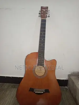 Trinity Acoustic Guitar- TM10