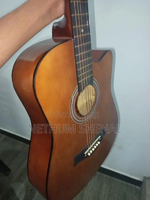 Trinity Acoustic Guitar- TM10