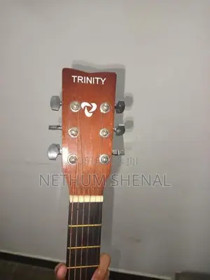 Trinity Acoustic Guitar- TM10