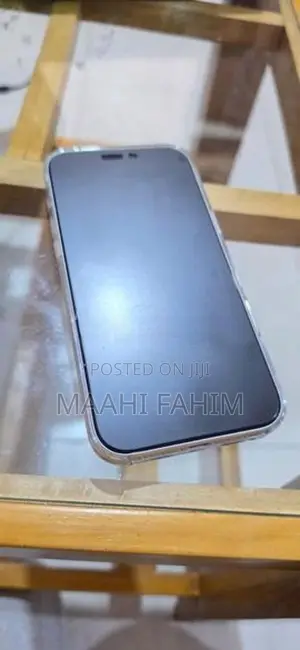 Apple iPhone 17 Pro Max (Used)