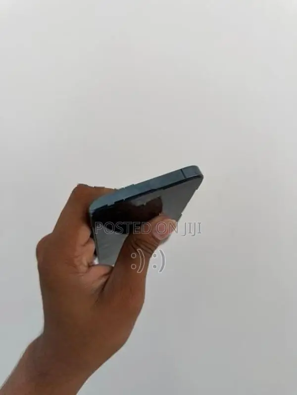 Apple iPhone 12 Pro 256GB (Used)