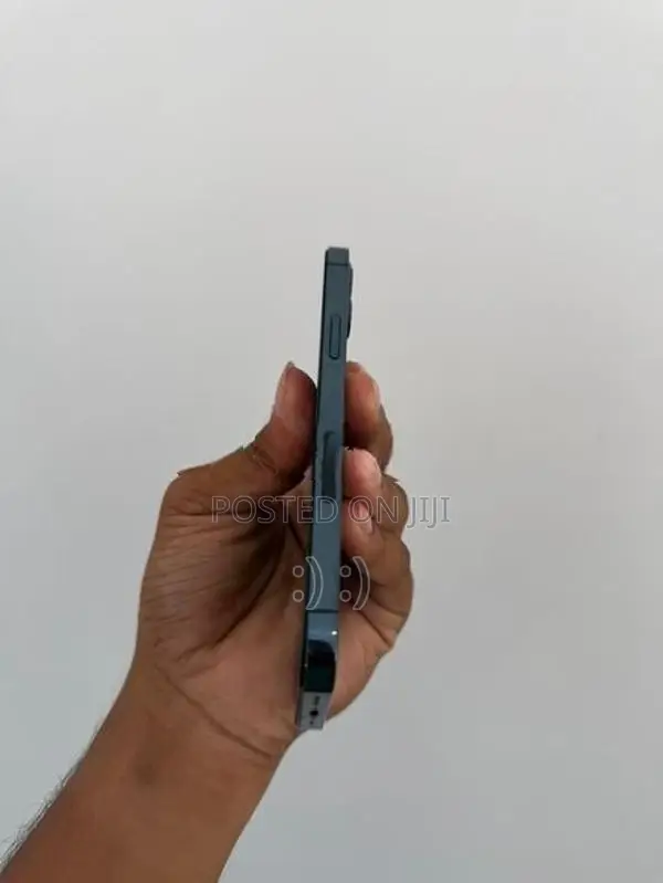 Apple iPhone 12 Pro 256GB (Used)