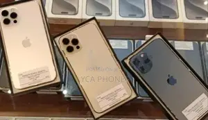 Apple iPhone 12 Pro 256GB (Used)