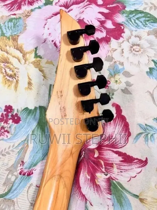 Electric Guitar