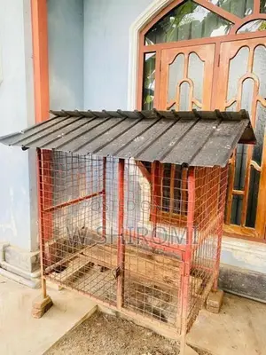 Dog Cage