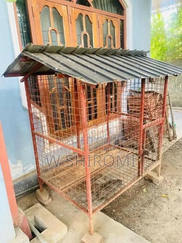 Dog Cage