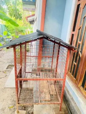 Dog Cage