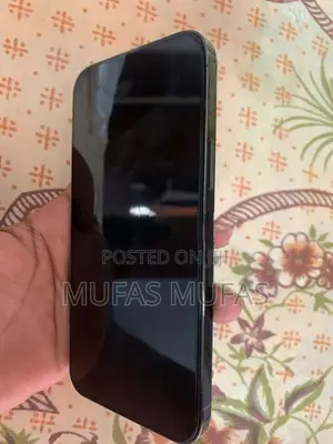 Apple iPhone 13 Pro Max (Used)