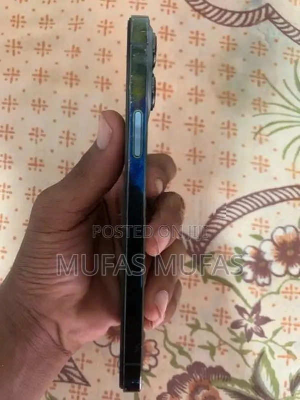 Apple iPhone 13 Pro Max (Used)