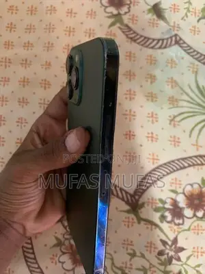 Apple iPhone 13 Pro Max (Used)