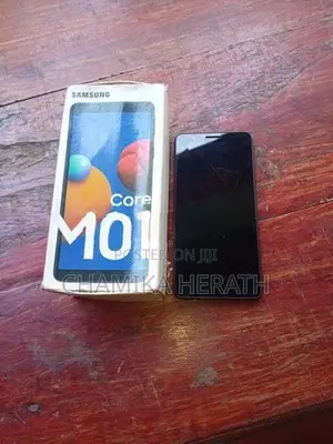 Samsung Galaxy M01 Core (Used)