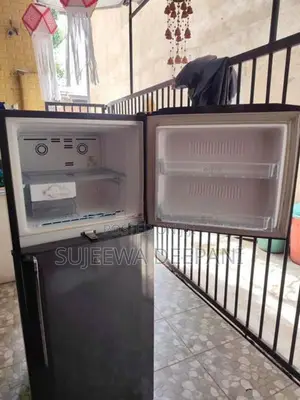LG Double Door Refrigerator (GL-M252VM)