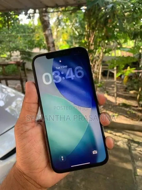 Apple iPhone 12 Pro Max 256GB (Used)