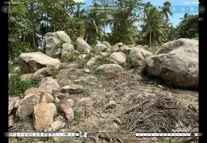 Natural Boulders for Sale