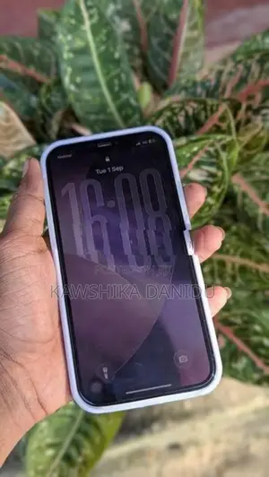Apple iPhone 12 Pro (Used)