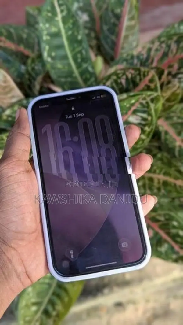 Apple iPhone 12 Pro (Used)