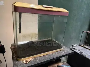 Imported Fish Tank