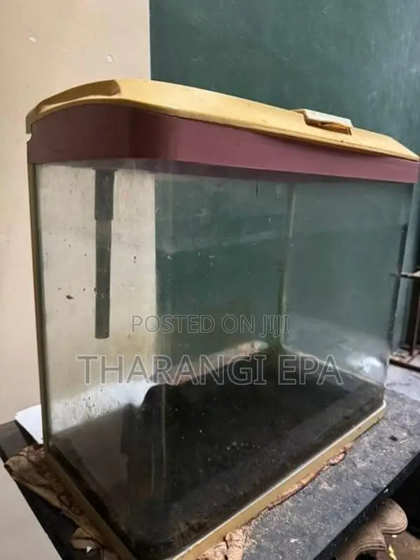 Imported Fish Tank
