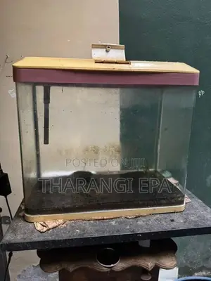 Imported Fish Tank