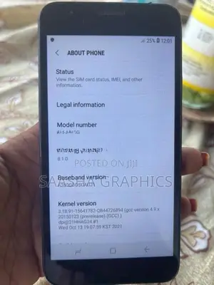 Samsung Galaxy A2 Core (Used)