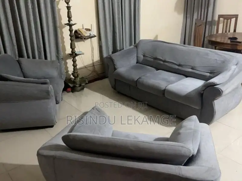 Modern Grey Sofa Set