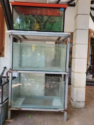 අලුත්ම මාළු ටැංකිය