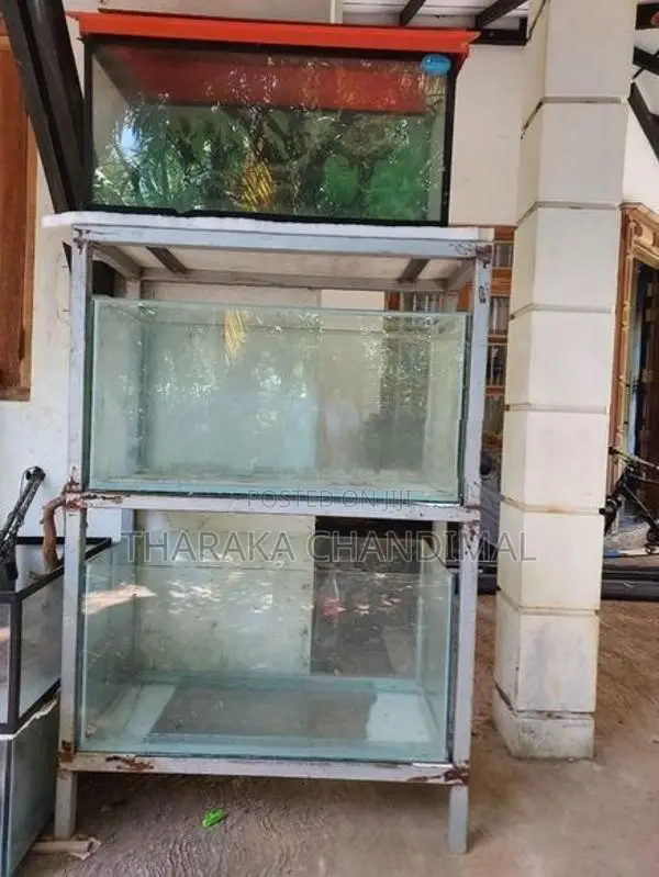 අලුත්ම මාළු ටැංකිය
