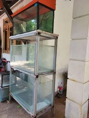 අලුත්ම මාළු ටැංකිය